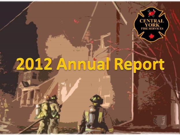 2012 report image